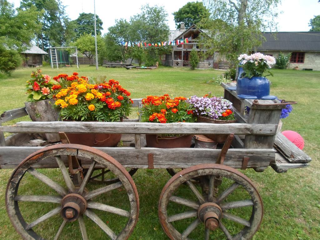 Ansumardi Farmstay Kavandi エクステリア 写真